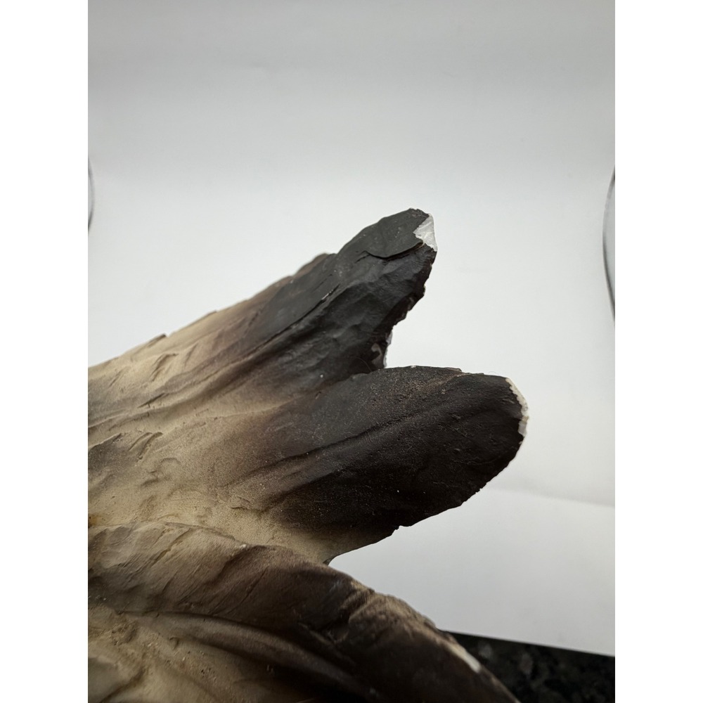 VTG DMB Collection Bald Eagle Figurine Confederate Rebel Flag Resin Statue 17x14 - Picture 10 of 14